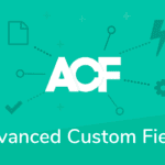 Simplifying ACF Data Management: Importing Programmatically Defined Fields